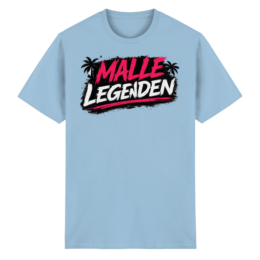 Frontansicht des hellblauen T-Shirts mit grafischem Druck und kurzen Ärmeln.